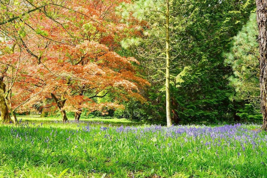 Cotswold Manor House - Country House Retreat With Hot Tub, Ideal For Large Groups Petty France Dış mekan fotoğraf